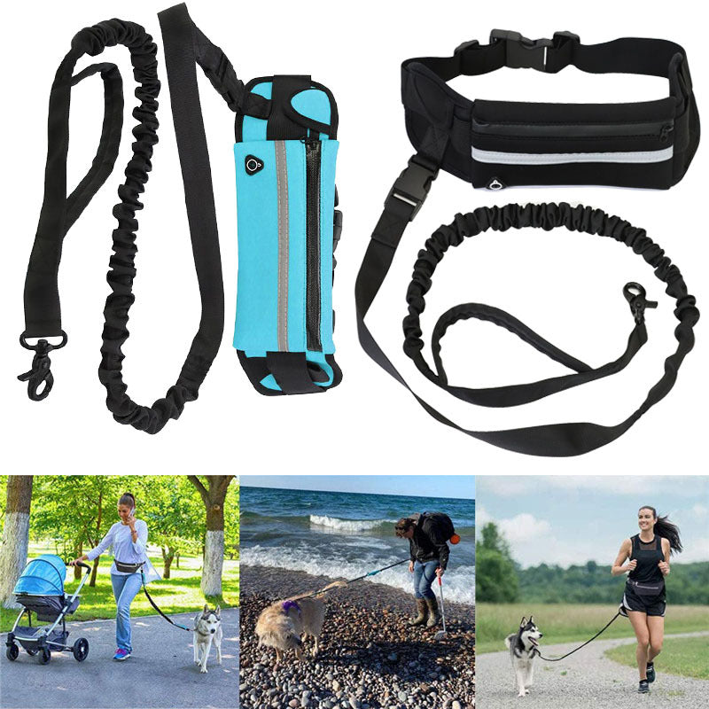 "Pet Purse Leash for Convenient Dog Walking