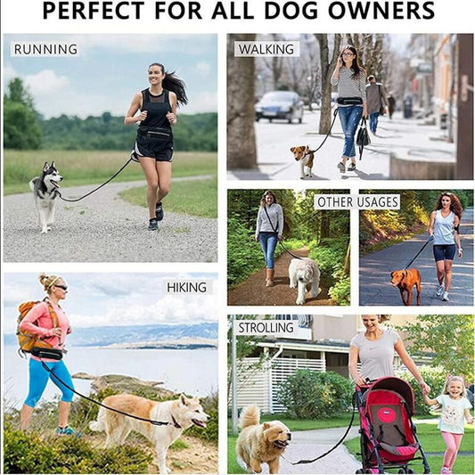 "Pet Purse Leash for Convenient Dog Walking