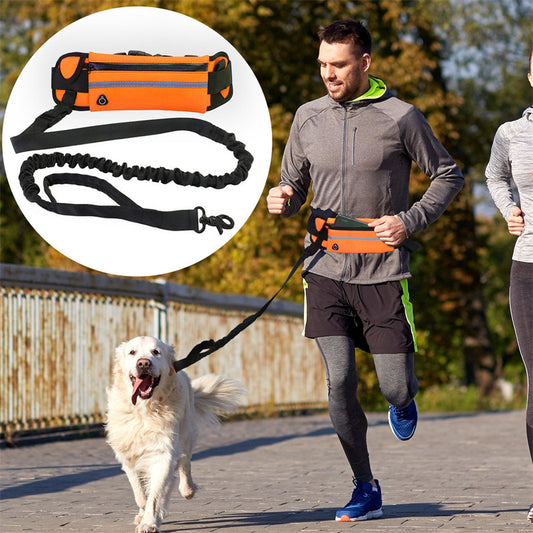 "Pet Purse Leash for Convenient Dog Walking
